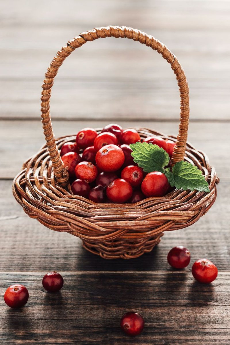 Cranberry und Beeren verbessern das Gedächtnis und die Durchblutung des Gehirns und senken das schlechte Cholesterin in App #natürlicheheilmittel Android play.google.com/store/apps/det… iOS apps.apple.com/us/app/the-nat… #lifestyle #healthy #gesund #gesundheitsapp #gesundleben #wohlsein