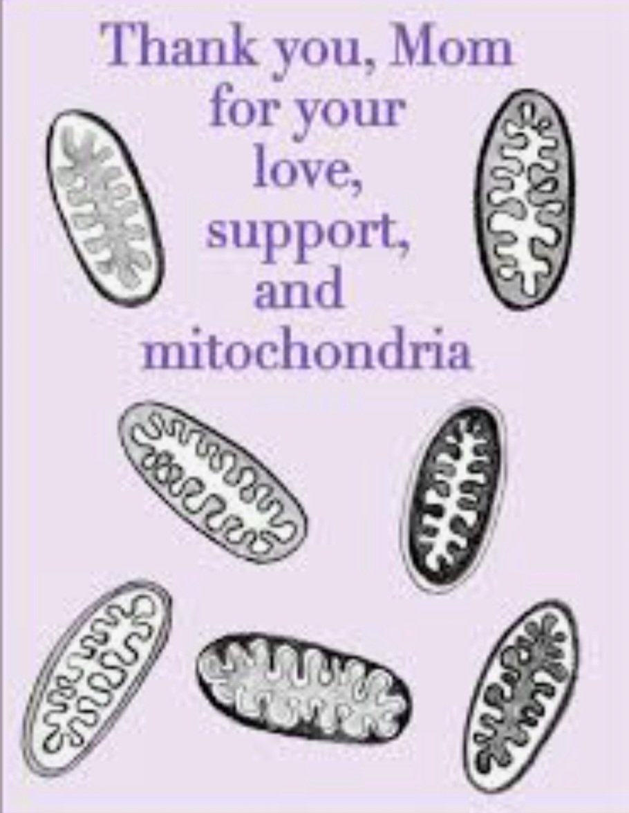 To the moms who do so much and ask for so little, Happy Mother’s Day! 💕 #MothersDay #Mitochondria