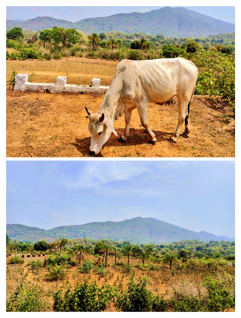 Beautiful Gajapati, Odisha.