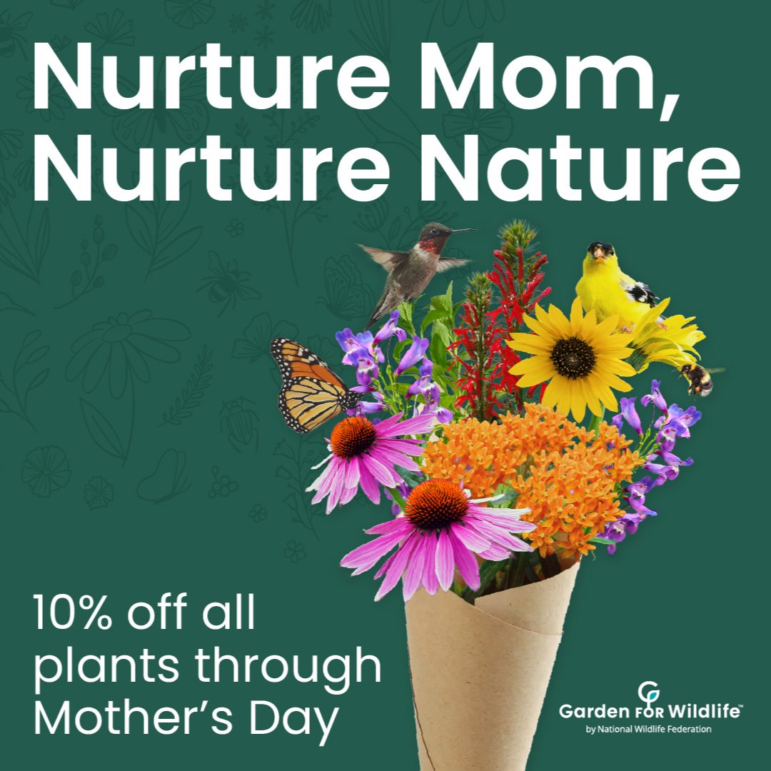 🌿💕 Happy Mother's Day to all the nurturing forces of nature out there! Whether you're a human mom, a plant mom, or both, your care and commitment make our 🌎 flourish. ⏱️ 🎁 If you need a last minute gift, buy a gift card or shop plants 10% off: hubs.la/Q02wT5CP0