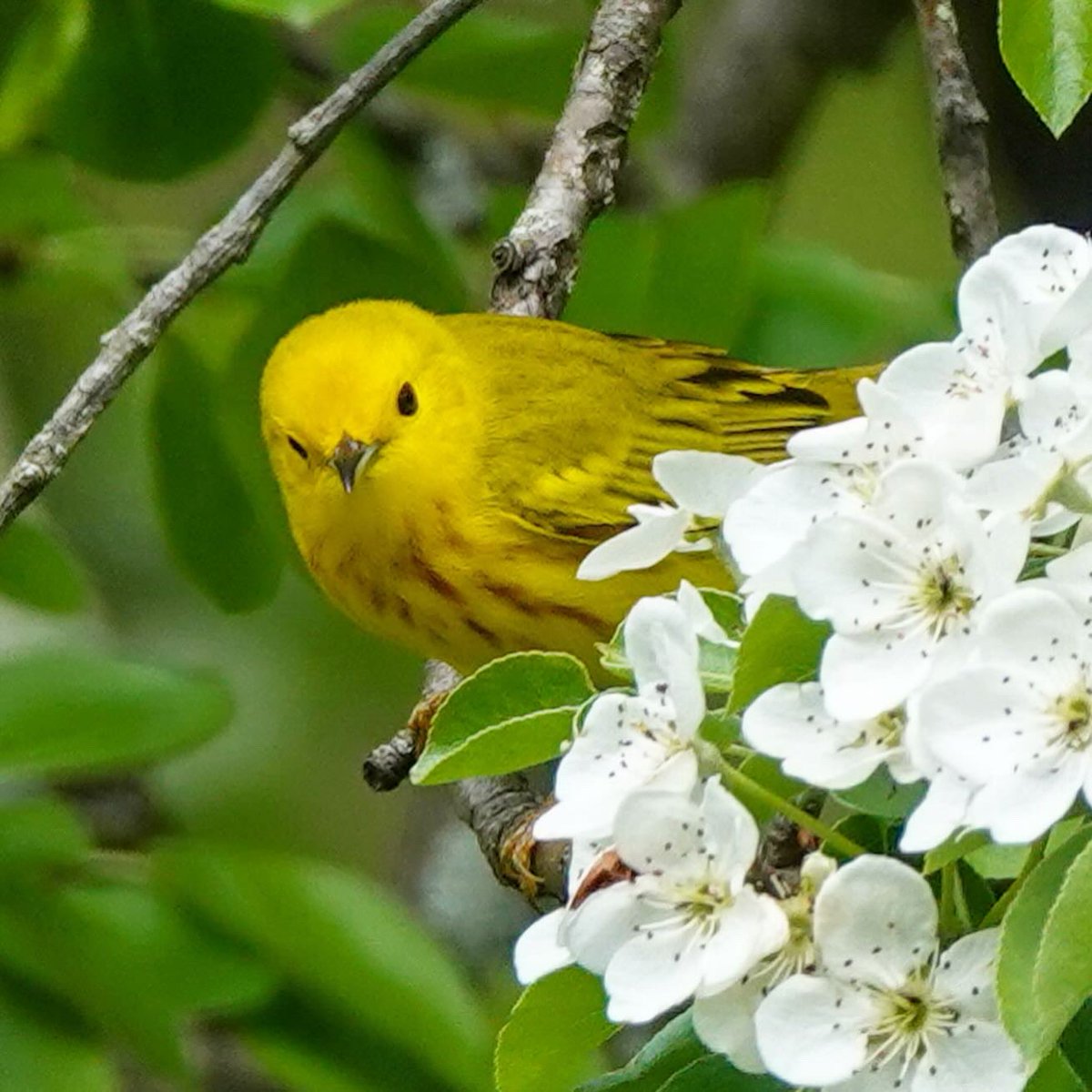 Michael Sand tweet media