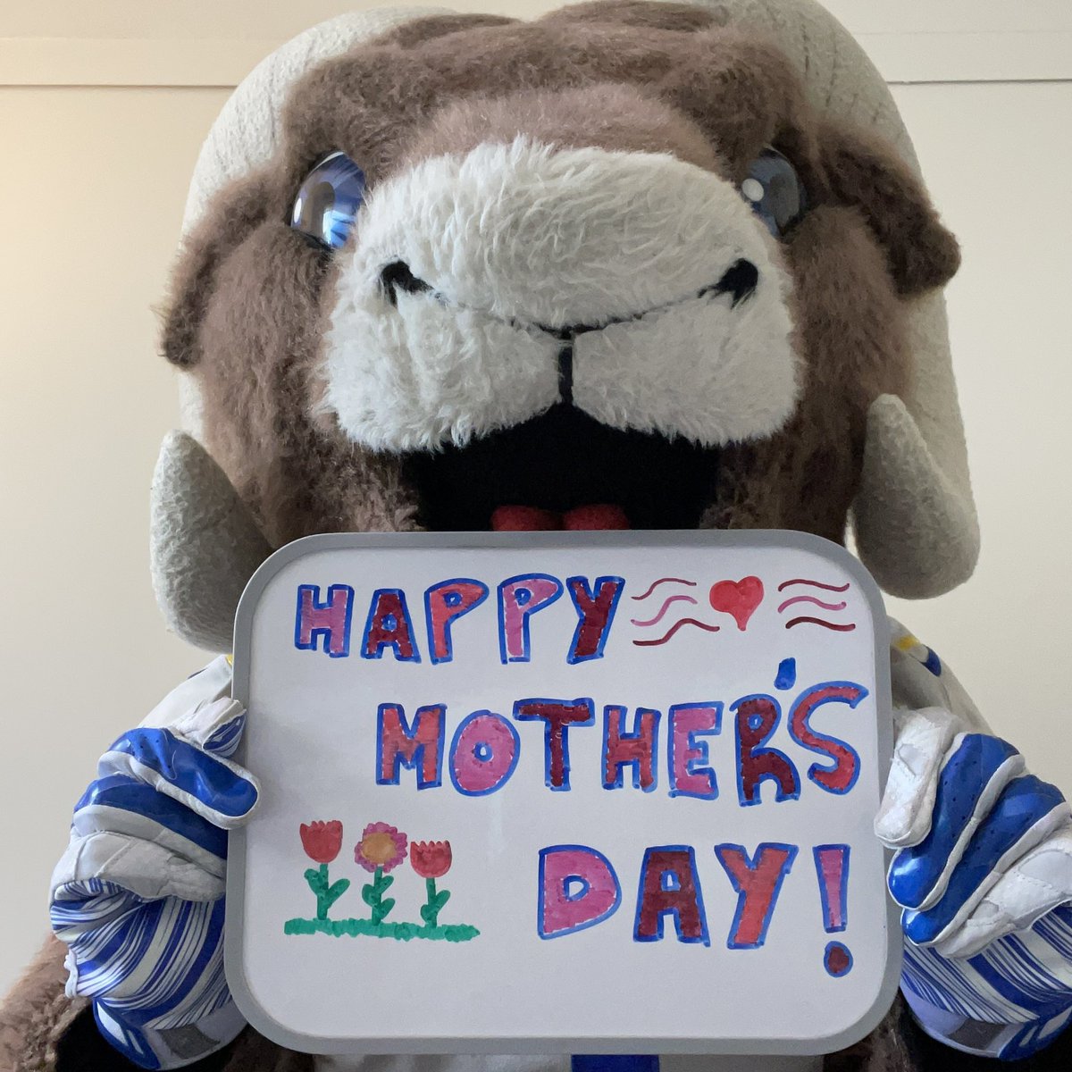 Wishing everyone a very Happy #MothersDay! 💐 #RamsHouse