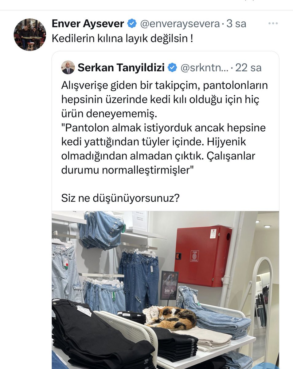 Tamam işte siz layıksınız bizden uzak tutun kardeşim! Sokakta aşısız bakımsız kedi k@pek k.k.sına kılına bulanmış kıyafeti gıdayı istemiyoruz. Siz gidin içinde yuvarlanın bize ne? Neden millete zorla dayatıyorsunuz?

Bu arada bakın Almanya üstelik sahipli bakımlı olmasına rağmen…