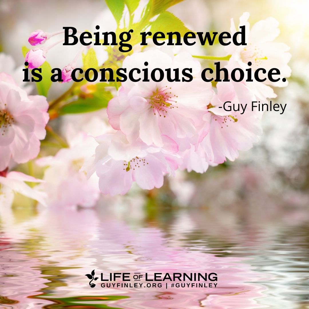 'Being renewed is a conscious choice.' ~ Guy Finley #SundayThoughts #renewal #startingover #lettinggo #guyfinley