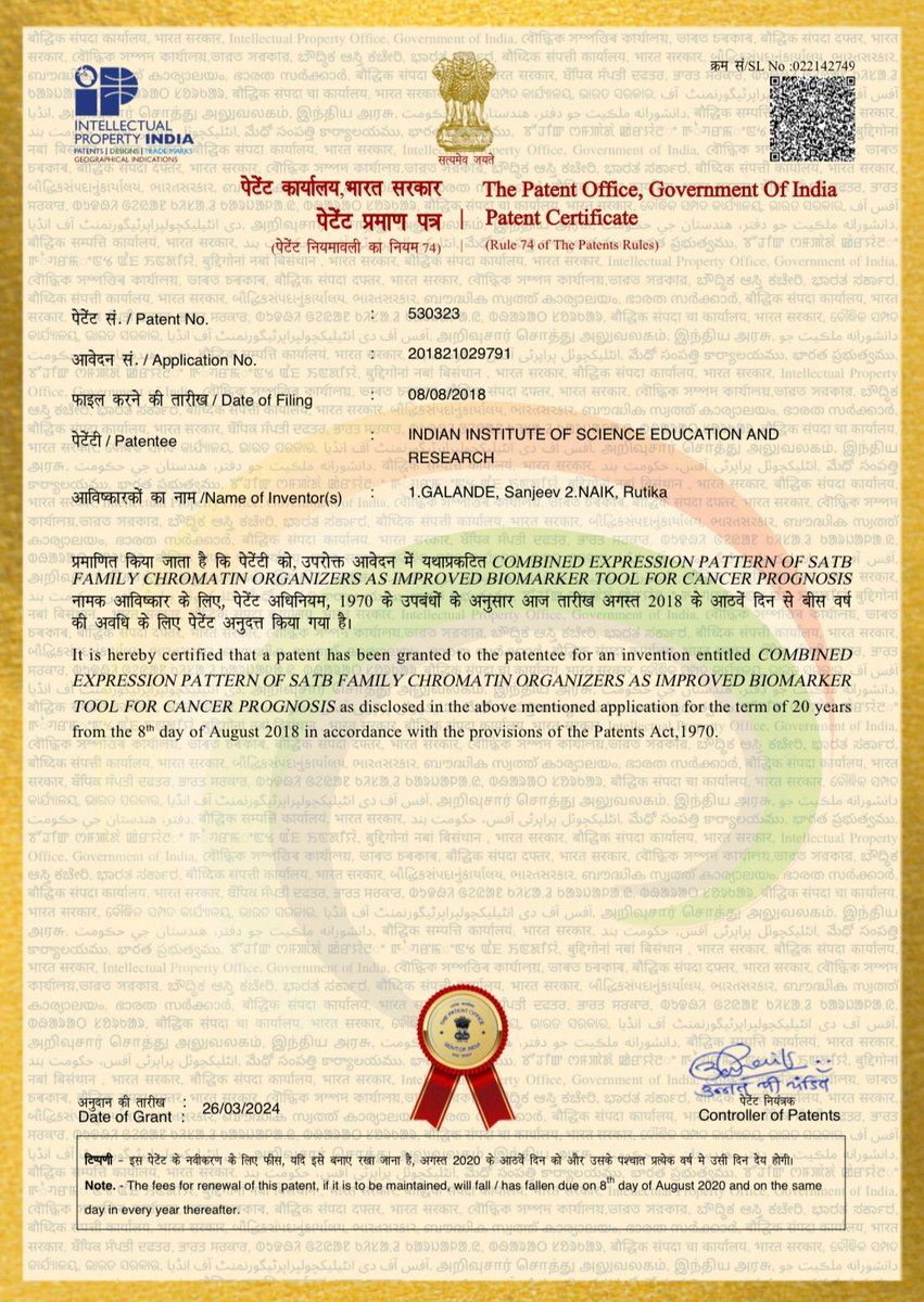 Five years after filing PCT we have been granted a patent! We show that ratio of expression of SATB1/2 serves as a biomarker for prognosis of multiple cancers. Work done by former postdoc Rutika Naik (not on X) ⁦@IISERPune⁩. Next step continues ⁦@ShivNadarUniv⁩