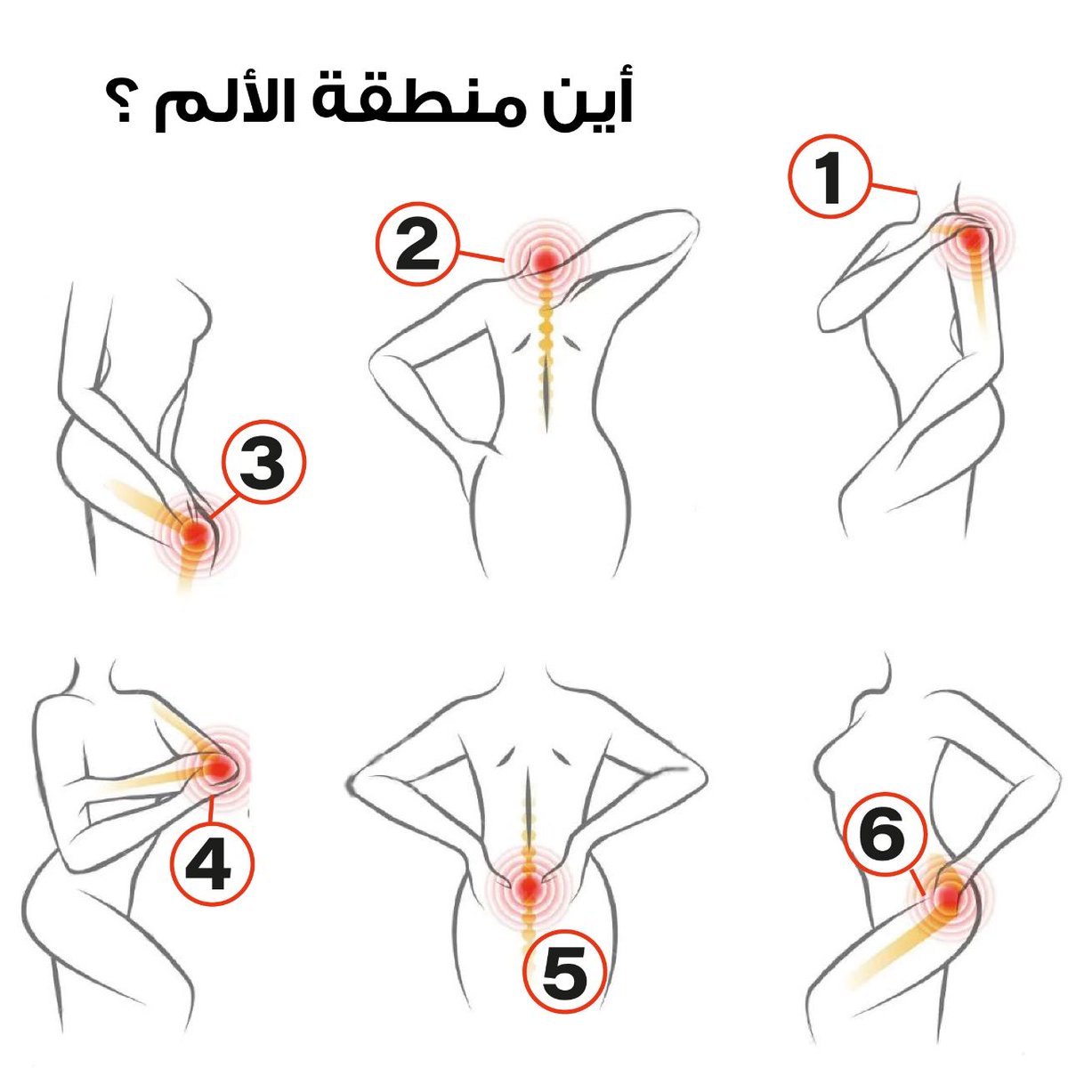 اختر من الأرقام التالية المنطقة التي تشعر فيها بالألم لاعطائك النصيحة المناسبة