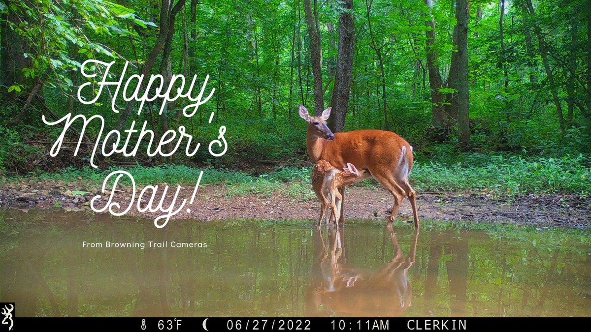 Happy Mother's Day from all of us at Browning Trail Cameras! #BrowningCameras #youvegottoseethis #MothersDay