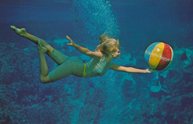 Kevin Maher tweet media