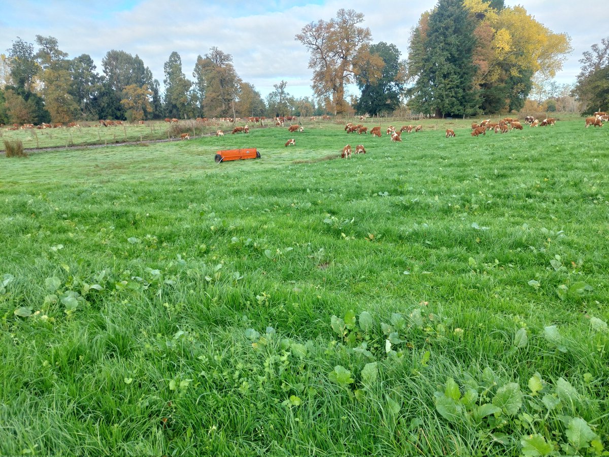 Martin Nannig (@nannigm) on Twitter photo 