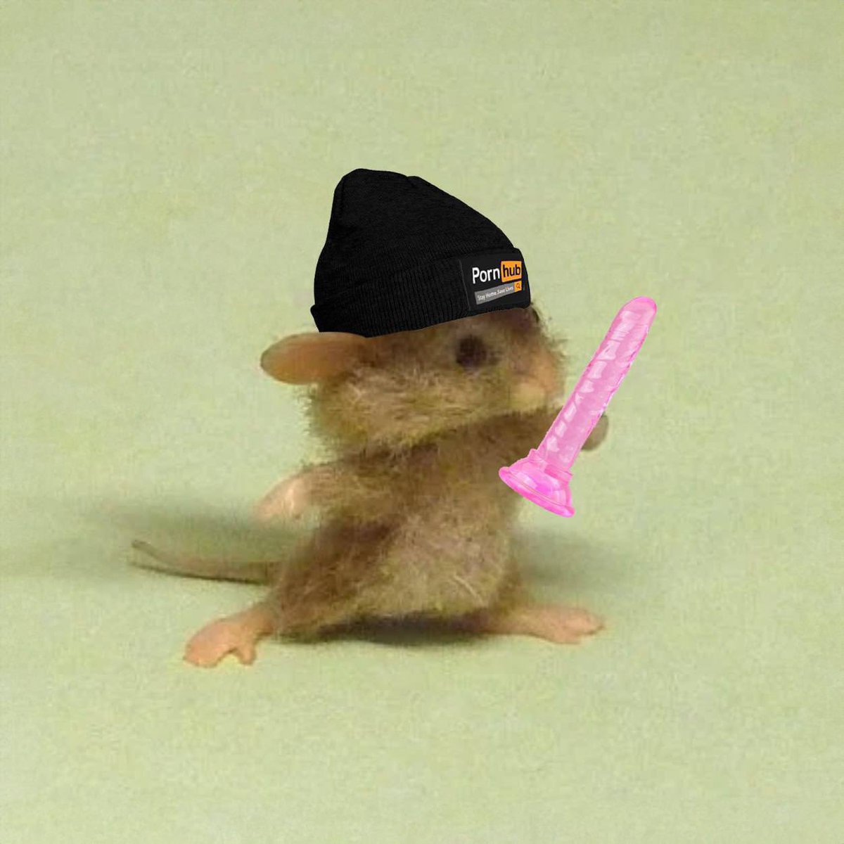 $muzki is coming for you $pixi 

run for your life...