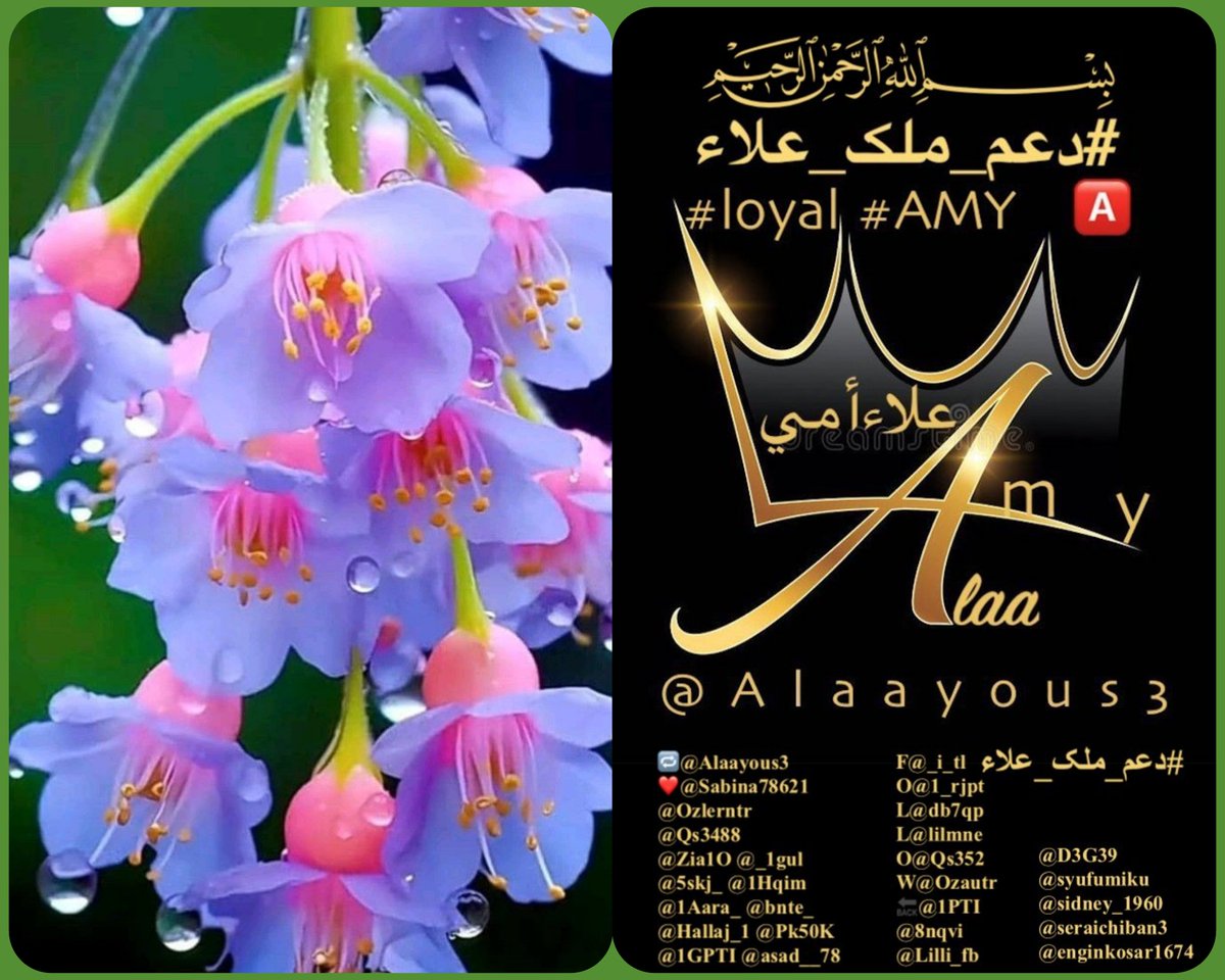 #loyal #AMY🅰️ @Alaayous3 @Gigi46830095 @hdn_na @GinaJardines @linaassil_assil @maha8321553 @Meire49050201 @Ozlerntr @MrAlharbi13 @zahrat_lotas @gazaaal66 @N777____7 @nwfh153 @tou_fitri @y11j3 @foz3x3 @Alv2859 @tt_90o @GAt__2 @shg__9 @mlak953 @BeerAdel2 @rayoscometas @yaswo11…