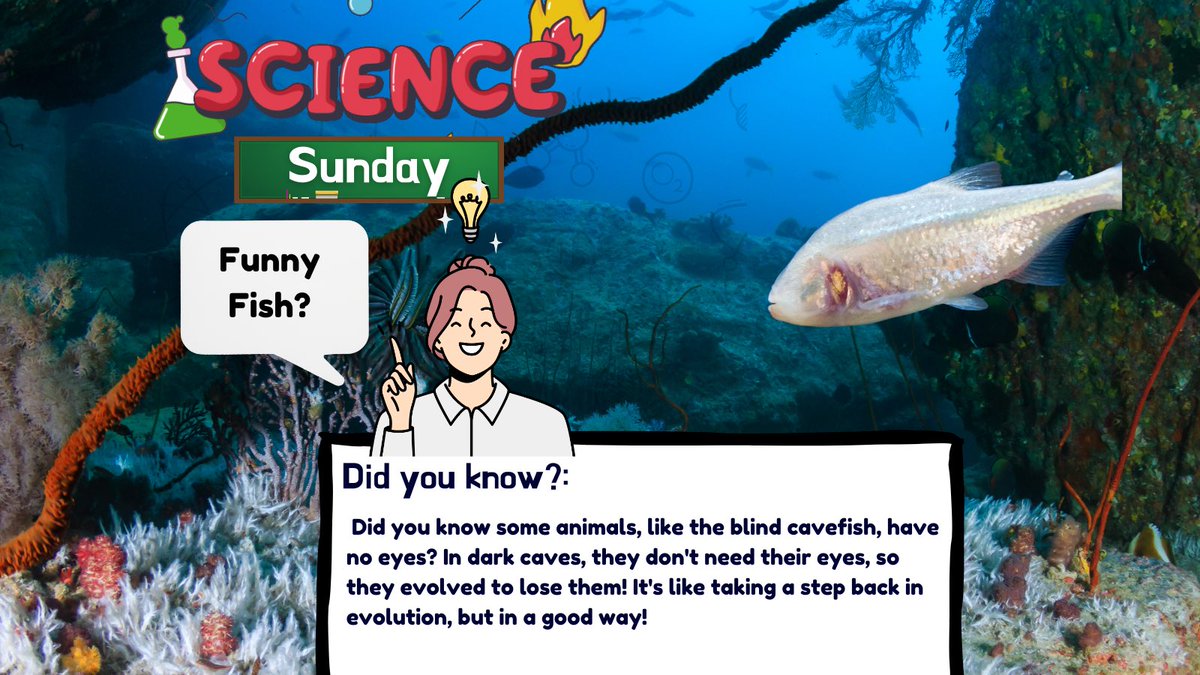 It's our last #ScienceSunday! 🐠

Did you know some animals like the blind cavefish evolved backwards? Living in dark caves, these fish don't need their eyes and evolved to lose them! 🌊

#uwo #ldnont #didyouknow #biologyfacts #scienceforkids #science #STEMeducation #scienceisfun