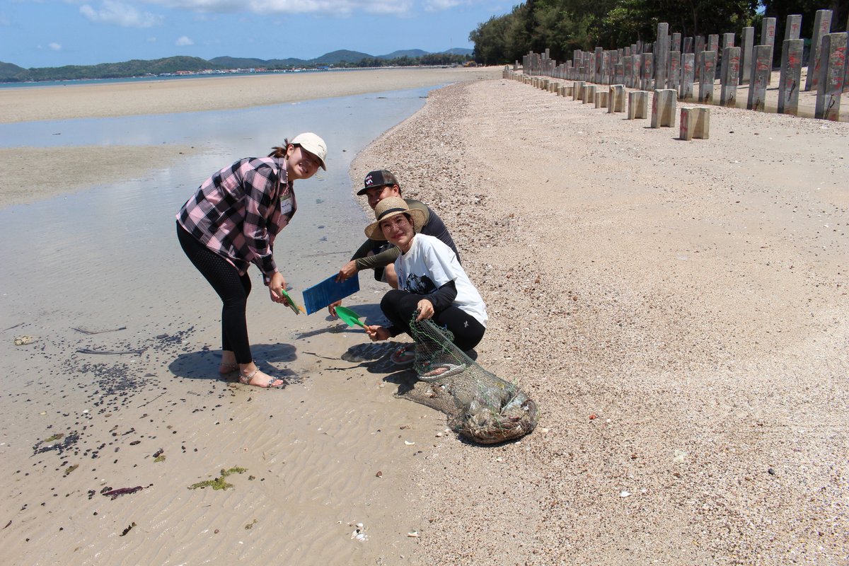 ชวนไปอาสาริมทะเลที่แสมสาร
🎯กิจกรรมอาสาพิทักษ์ชายฝั่งทะเล
เยี่ยมศูนย์อนุรักษ์เต่าทะเล ร่วมทำความสะอาดบ้านเต่าทะเล
และทำความสะอาดชายหาด
วันอาทิตย์ 26 พ.ค. 67
อ.สัตหีบ จ.ชลบุรี

รายละเอียดและสมัคร
👉jitarsabank.com/job/detail/9739

Cr: #อาสาบ้านดินไทย
#เกียรติบัตรอาสา
#ธนาคารจิตอาสา #สสส