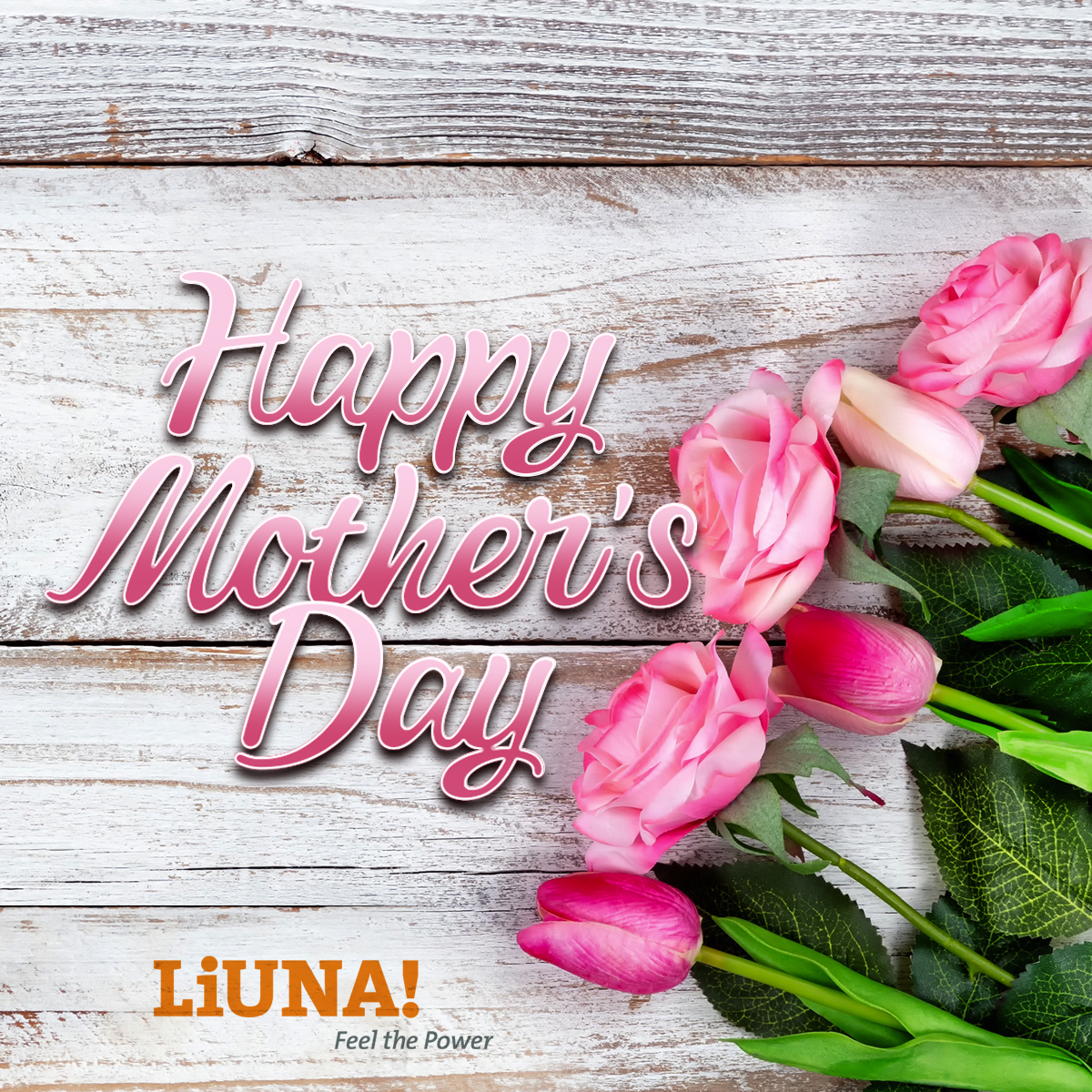 Wishing all moms everywhere a very Happy Mother's Day! We'd like to add an extra special shout out to our #Union sisters who are mothers!

We hope you enjoy your day.

#HappyMothersDay #MothersDay #MothersDay2024 #MD24 #Mom #Solidarity #Flowers #UnionProud #UnionMade #LIUNA