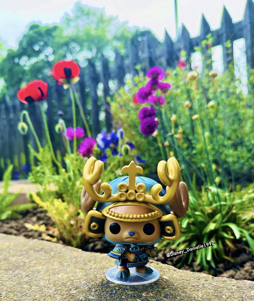 Armored Chopper chase! Absolutely love this POP! 😍 I won this last year & it’s been a cherished part of my collection ever since. ☺️

Hope everyone’s had a great weekend! 🍹

#FunkoPOPVinyl #MyFunkoStory #FunkoUnboxed #Funko 

@OriginalFunko @FunkoEurope @funko_funime