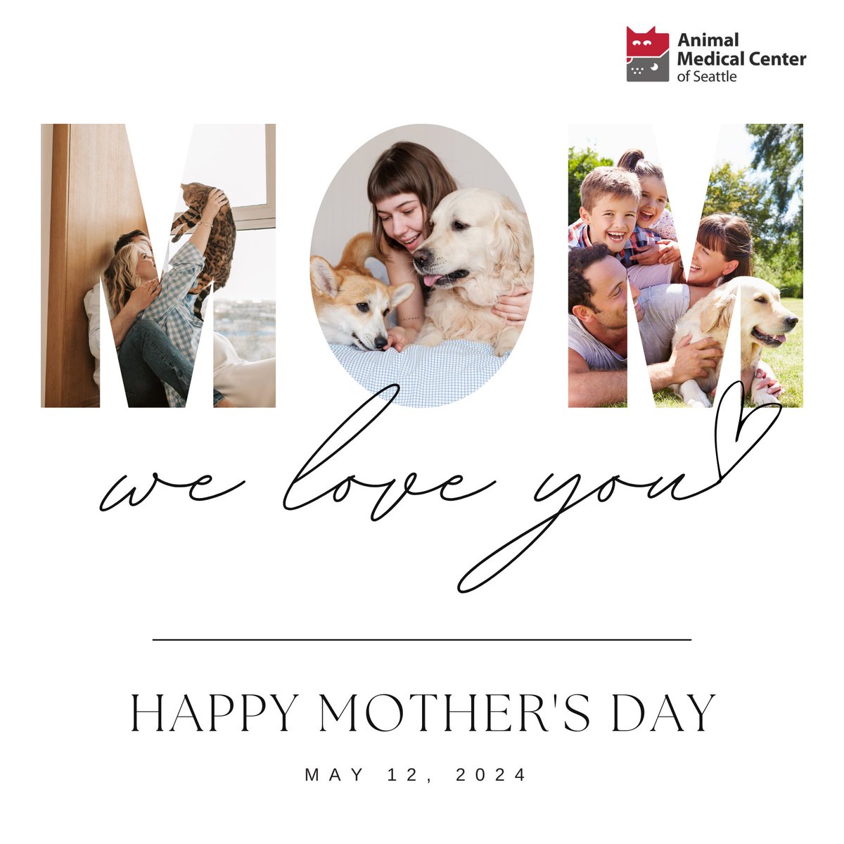 AMCSeattle Vet tweet media