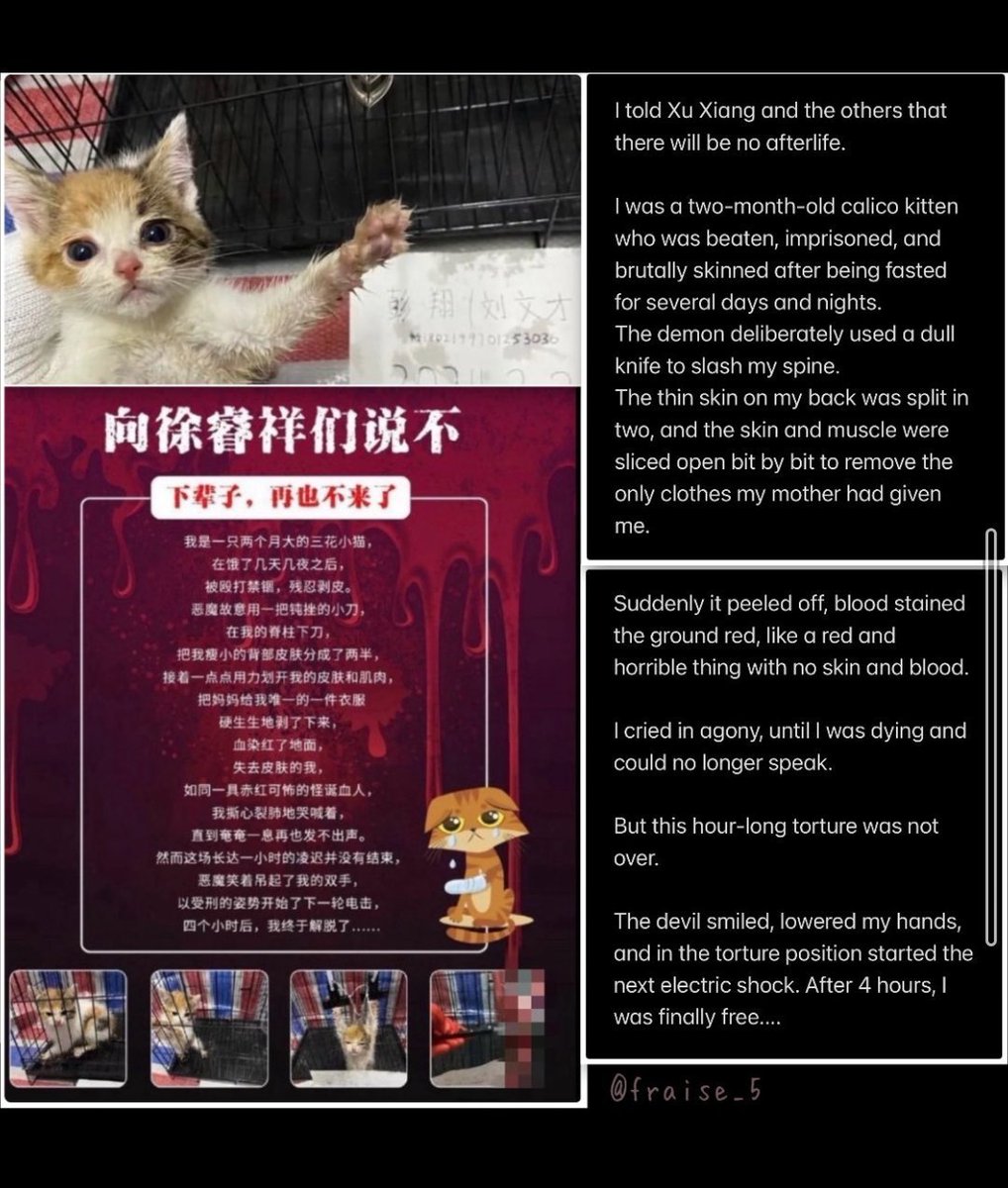 @CGHuangPingNY #BoycottChina
ANIMAL ABUSERS