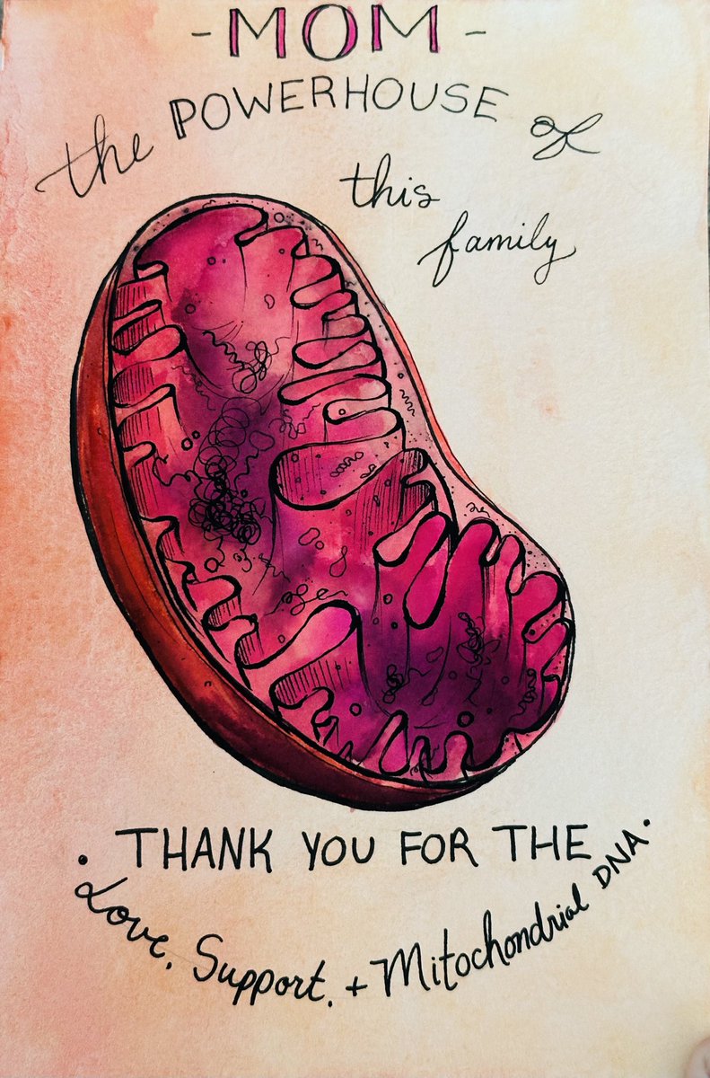 My wife isn’t just the nucleus of our family, she’s also the exclusive supplier of certain organelles Happy mitochondrial inheritance day!