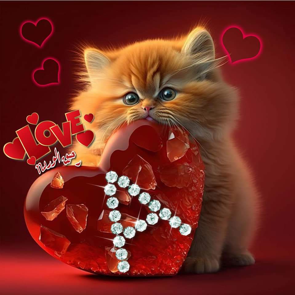 #loyal #AMY🅰️
<a href="/Alaayous3/">alaa amy</a>
<a href="/Gigi46830095/">ا. i1iitالخاص ممنوعGiGi</a>
<a href="/GinaJardines/">Cleopatra</a>
<a href="/linaassil_assil/">Linaa Alassill2</a>
<a href="/amr_snds5281/">لؤلؤ</a>
<a href="/maha8321553/">🌸maha🌸</a>
@hdn_na
@Ozlerntr
<a href="/ndya9312/">شركه كشف تسربات المياه وعزل الأسطح</a>
<a href="/Maya2311S/">مـيــᬼ؁ـوش 🧸🦋</a>
<a href="/IsadoraReal_/">🇦🇪🇮🇳 🇱🇧Isadora 🦋اميرة صغيرة 🧕</a>
@foz3x3
<a href="/ch10nb/">warrior</a>
<a href="/75suhair/">_. suhair Al_jumaili</a>
<a href="/1hy92/">رضوی شیر</a>
@ladyss369
<a href="/FelicPalma/">Felic Palma</a>
<a href="/RoaMarta2/">Marta 🇩🇴🇺🇲🇻🇪¡Twitts sin explicación!</a>
<a href="/Sahelenaa/">Sazinha </a>
<a href="/sheriran95/">sheer_iran</a>
<a href="/Rabab3030/">وردةالمدينة🌹🥹🤲🏽📲</a>
<a href="/MariaRosy151/">🌷❀*̥˚𝕄𝕒𝕣𝕚𝕒❀*̥˚🎀</a>
<a href="/nbea_h/">#𝕾𝖚𝖕𝖊𝖗𝕱𝖗𝖎𝖊𝖓𝖉𝖘 #𝕿𝖔𝖕𝕱𝖗𝖎𝖊𝖓𝖉𝖘</a>