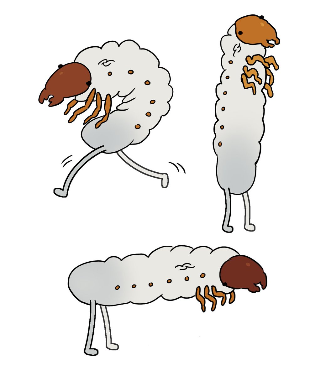 um if a grub grew legs and walked away, how would it look