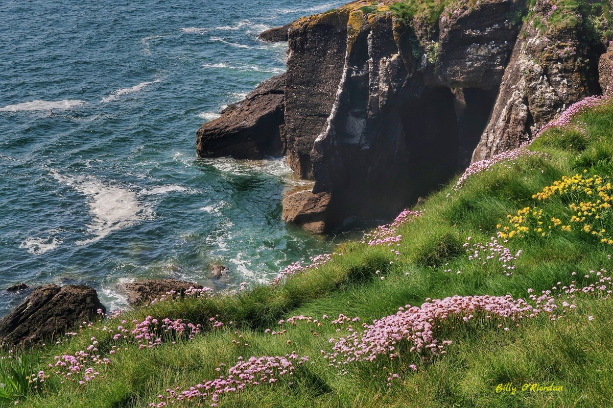 Summer colours on land and sea from a day spent in Dunmore East, Waterford #Dunmoreeast #seaside #photography #Waterford #photooftheday