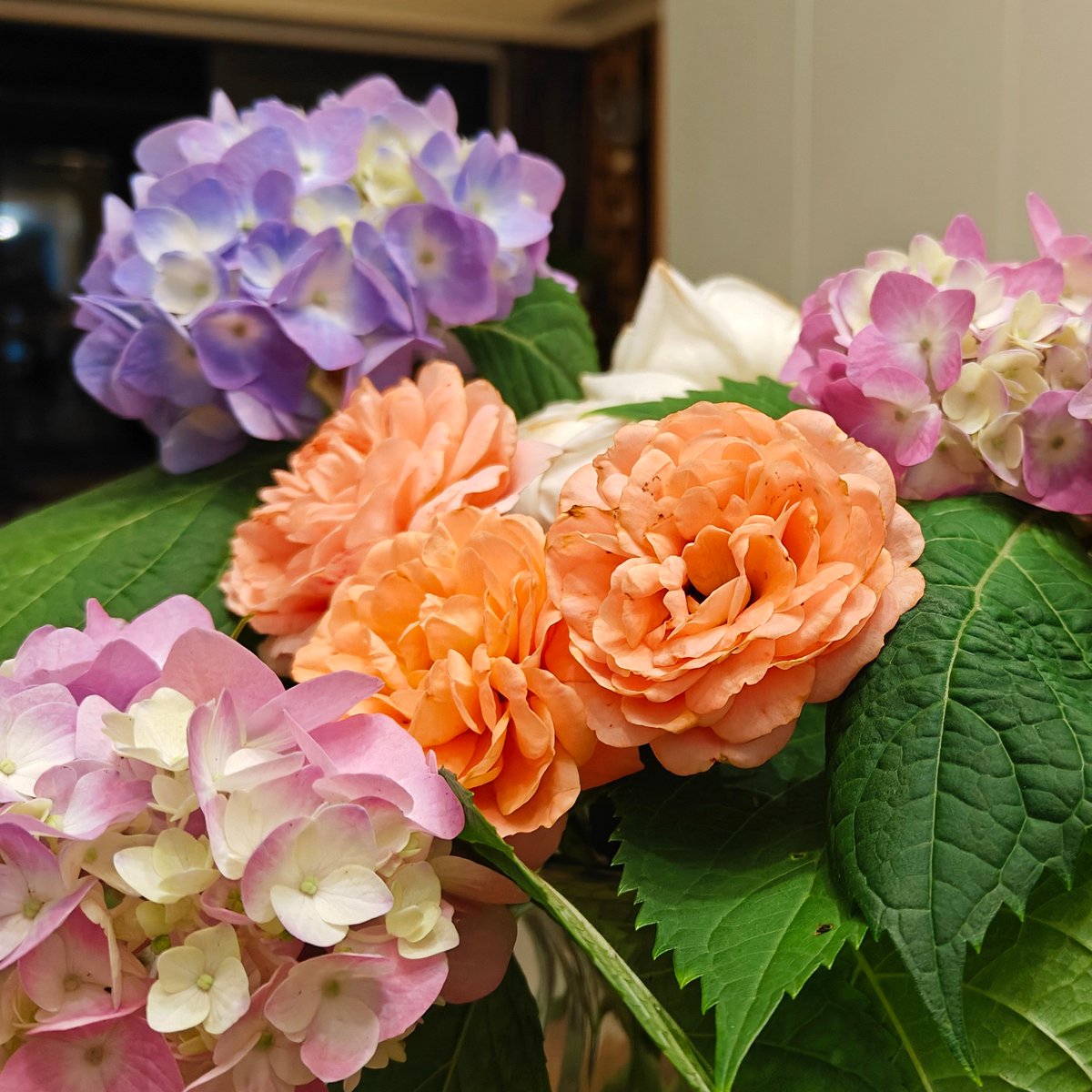 AndyXu5's tweet photo. 5 月 https://t.co/KPeCOH2U10