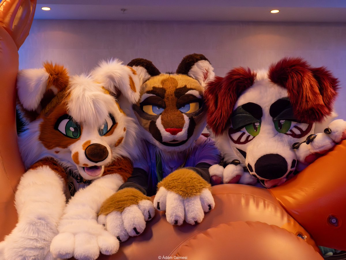 We're happy to announce that we have sold our 200th ticket for Furnavia 2024! 🎉

Interested in attending our convention?
Registration is open at our website!
furnavia.org

📸:<a href="/AdamGMedia/">Adam Gemesi 📹</a>