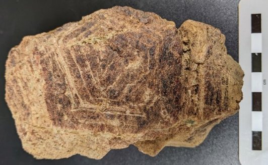 Porphyry deposits are our most important source of copper. Sometimes they have assocaited skarns, with high grades of Cu and critical metals. Join <a href="/jwilki1212/">Jamie Wilkinson</a> at the NHM for a PhD that seeks to unravel the formation of, and exploration for skarns. target.le.ac.uk