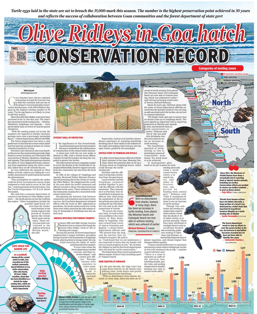 Turtle eggs laid in #Goa are set to breach the 35,000-mark this season. The number is the highest preservation point achieved in 30 years and reflects the success of collaboration between Goan communities and the forest department. Read on to know how it was achieved #turtle