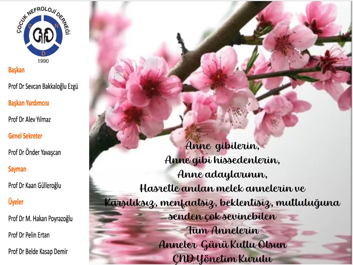 Annele gününüz kutlu olsun