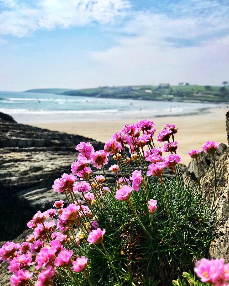 A pretty perfect day with Manu @amanublanco 🌸🌊☀️#sunshine #yesterday #seaside #sand #sky #sun #flowers #rocks #may #beach #inchydoney #inchydoneybeach #cork #ireland #summer #chillin #beachlife @corkbeo @pure_cork @yaycork @LovingCork @CravingCork @CorkDaily