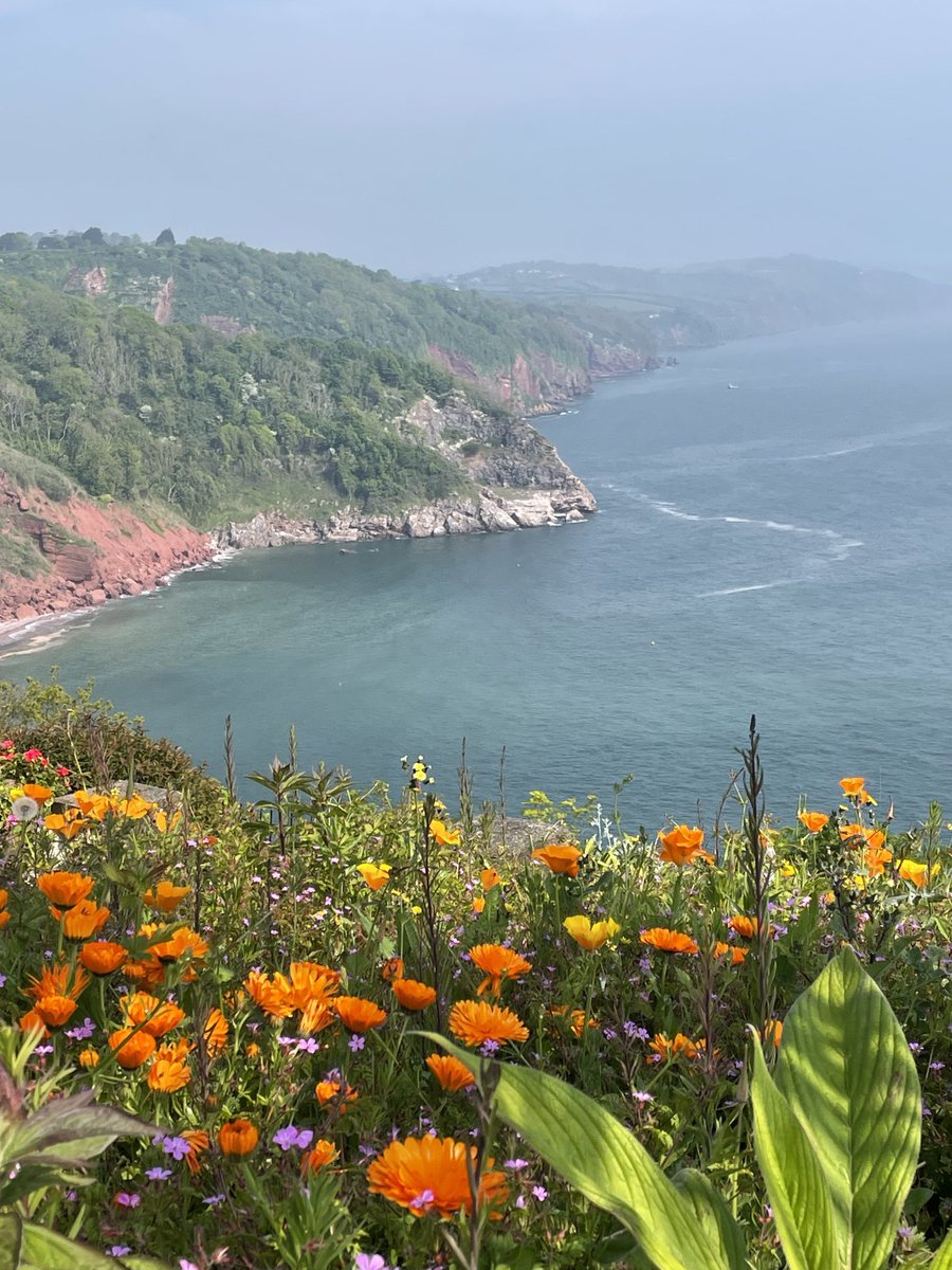 helen21206699's tweet image. #sunshine #babbacombe #downs