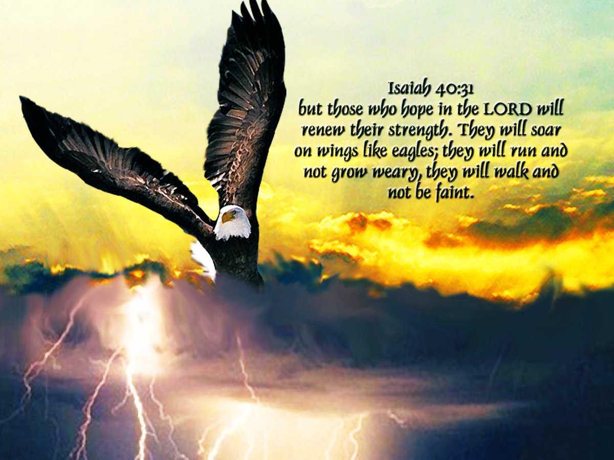 But they that wait upon the LORD shall renew their strength; they shall mount up with wings as eagles; they shall run, and not be weary; and they shall walk, and not faint. ~ISAIAH 40:31 (KJV)