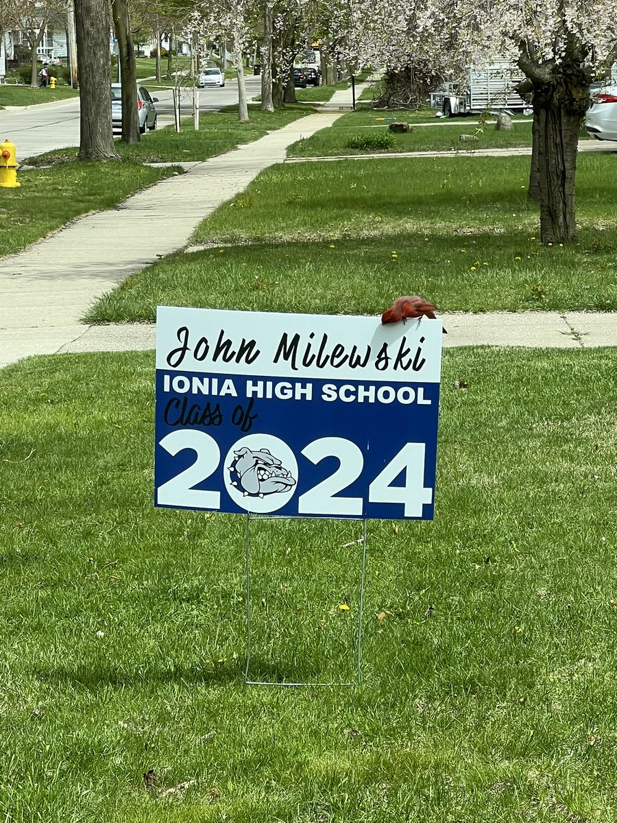 A Senior Sunday with John and his MeeMah (she was sneaking a peck).  And a picture Beth captured of a cardinal looking as if it was sneaking a peck on his graduating senior sign.
#Cardinals #AlwaysPresent #MothersDay
#SeniorSunday #ClassOf2024