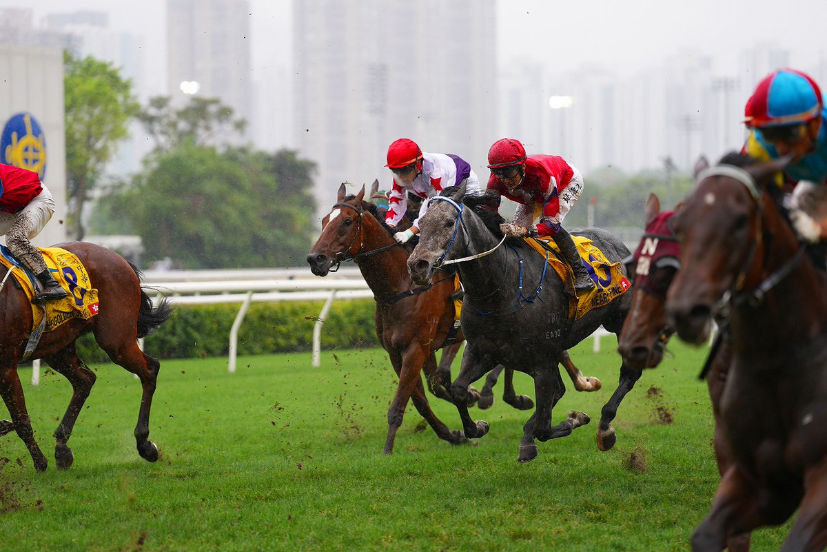 去年のこの週末は、沙田競馬場でマカオとの交流競走、香港マカオトロフィーがあって、中野省吾騎手が香港初騎乗を果たした。
レースの結果は1着レッドライオン、２着ビューティーエターナル
先日のチャンピオンズマイルの2着と1着。