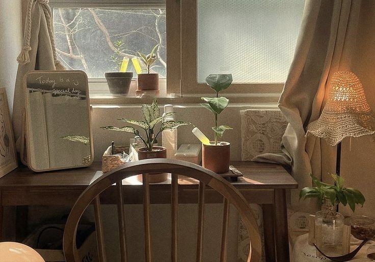 Soft sunlight making warm and cosy vibes