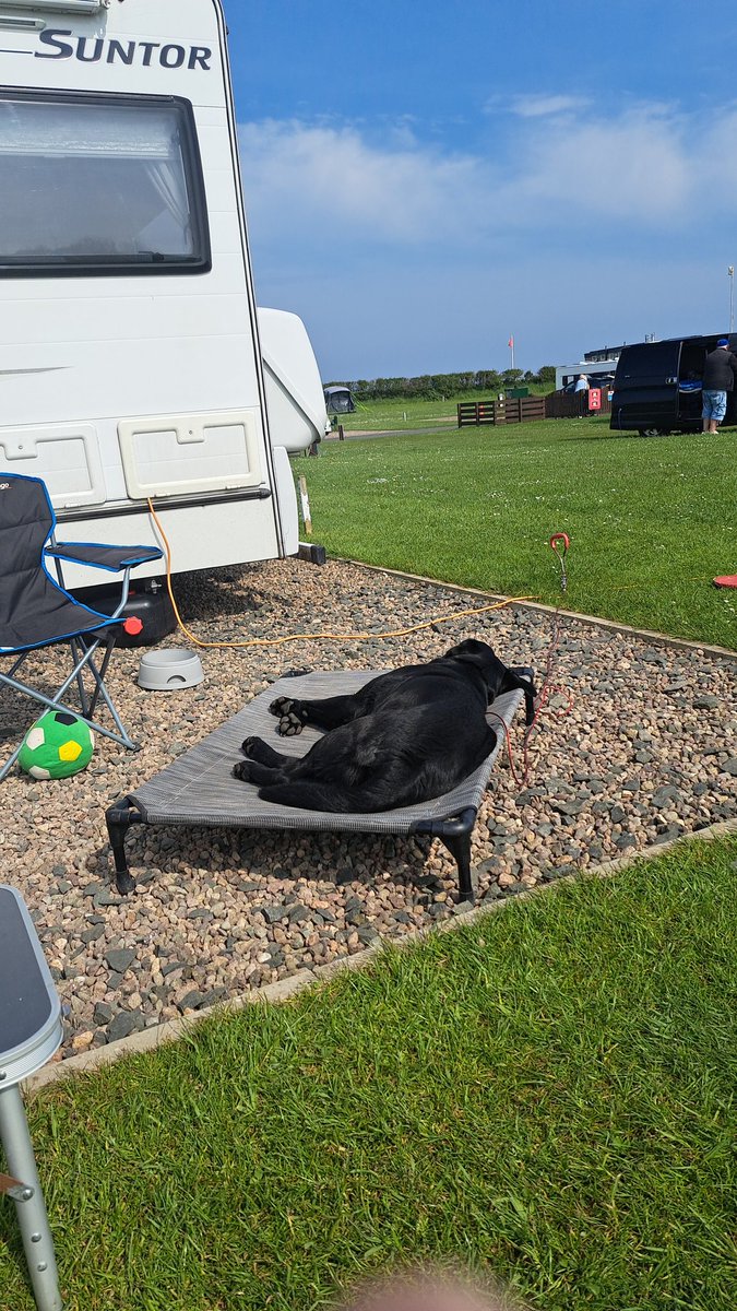 FurbabyPrince's tweet photo. I'm on beachie doing #zoomies with my bestus #furpals @VICTORDOG1 and #Furbro #Jackster #Beadnell #Northumberland #Holibobs then back for a snooze. https://t.co/doyf6BQdRl