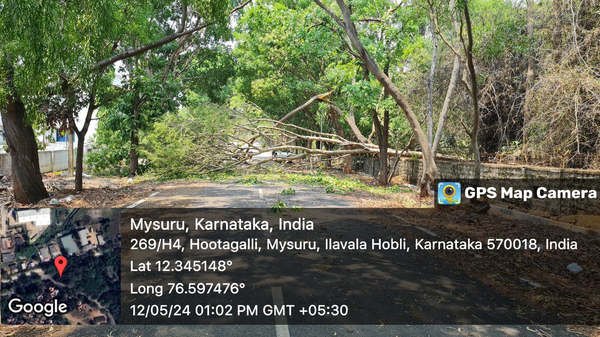 @osd_cmkarnataka 

Hi 
The trees near BEML Township in Hebbal Industrial area Mysore fell on friday night, and it has been 2 days, and it has not been cleared. 
It comes in KIADB area under the juridiction of Koorgalli CMC. 
Can you please look into this issue