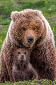 Happy Mother’s Day to all of the Mamma Bears! #GoBears