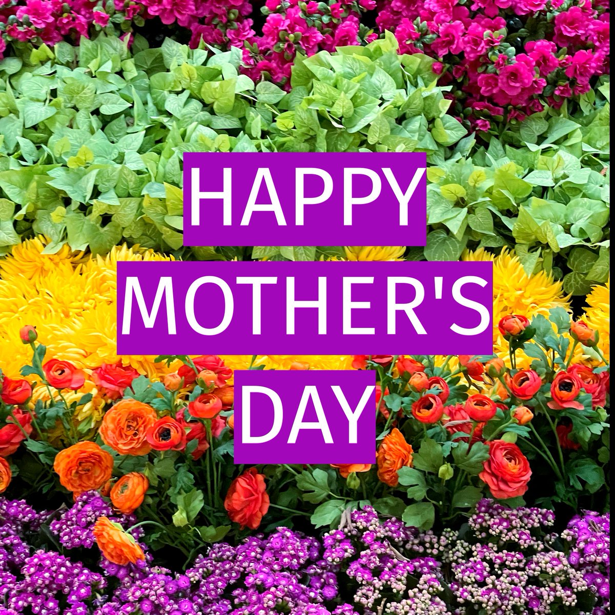 Happy mother's day to the guiding light in our lives, whose love knows no bounds. Today, we celebrate the strength, grace, and unconditional love of all mothers. 💐 #mothersday #momlove #gratitude #familyfirst #unconditionallove #celebratemom #motherhood #thankyoumom'