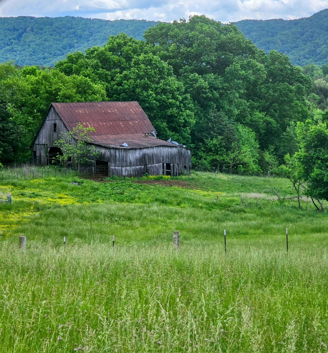 'A country barn stands as a testament to resilience and tradition, its timeworn beams soaked in the stories of seasons past, where every sunrise brings promise and every sunset, a peaceful closure.' Anonymous 

#barns #barn #countrybarn #farm #EastTN #outdoors #visualstoryteller