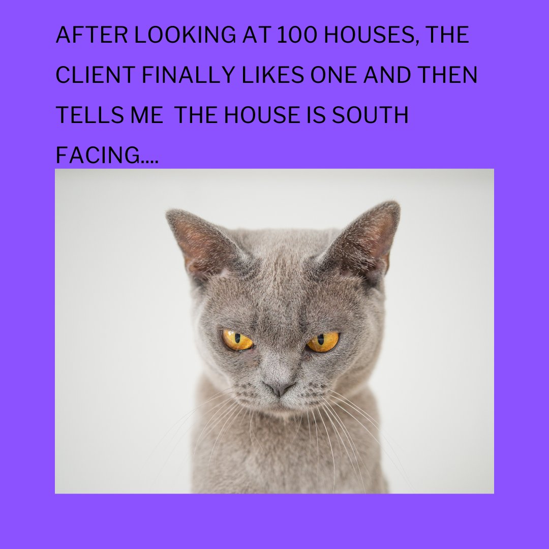JOKES APART

If you are buying, selling or leasing call me 409-351-6463

Like, follow and share for more vidoes like this

#walzelproperties #buyersagent #firsttimebuyer #listingagent #listyourhouse #relocationagent #realestate #newconstruction #sellyourhouse #builderincentive #