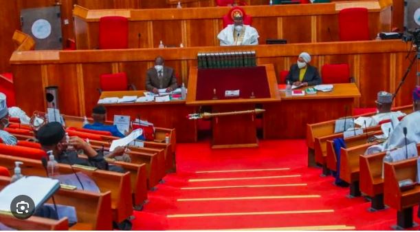 Cybersecurity Levy Is Aimed At Financial Institutions, Telecoms, Not Individuals Or Bank Customers – Senate Committee | Sahara Reporters bit.ly/3wxp0b8