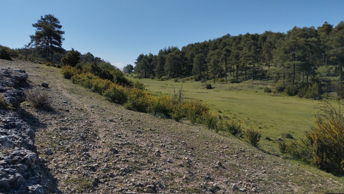 entreorzaygamon's tweet photo. Volvemos al monte. #SerraniadeCuenca #Senderismo #Oryga. https://t.co/LObDcYwS5r