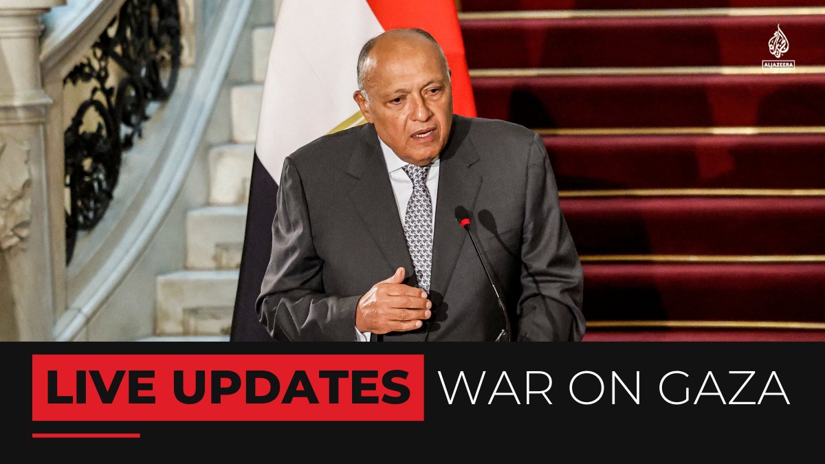 Egyptian FM Sameh Shoukry says that “political will” is needed to reach a ceasefire during the ongoing negotiations between Israel and Hamas – with Egypt and Qatar acting as mediators. 🔴 LIVE updates: aje.io/k1x6ys