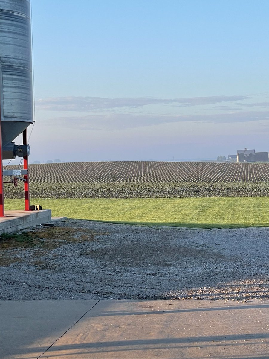 Will Duggins tweet media