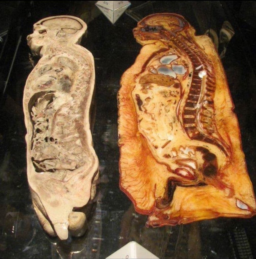 Mr. Sunshine tweet media