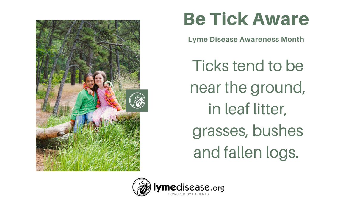 Nymphal #ticks cause most cases of Lyme disease. Because nymphs are as small as poppy seeds and their bite is painless, people often don’t realize they have been bitten.
Learn more:
lymedisease.org/lyme-basics/ti…… #LymeDiseaseAwarenessMonth