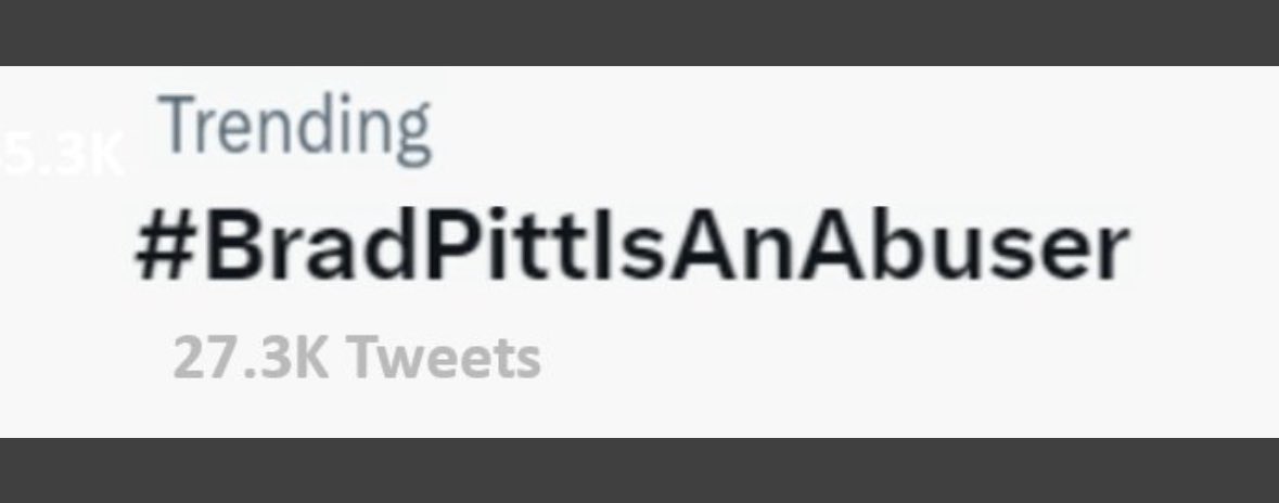 C2023Maria81777's tweet image. #BradPittIsAnAbuser #LetHerGO #IstandWithAngie