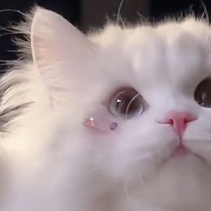 ᴋᴍ.✿ (@fallinkmm) on Twitter photo 